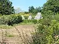 Menhirs du Brouel