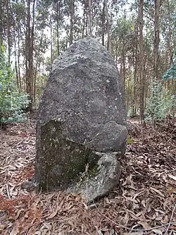 Menhir Penedos da Portela