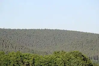 Der Menschenkopf vom Hohen Berg aus gesehen