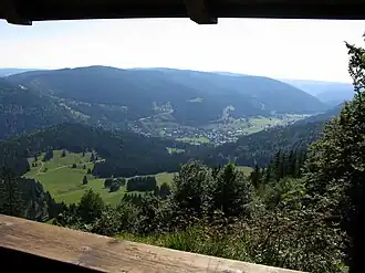 Die Schnepfhalde jenseits von Albtal und Menzenschwand (Vorderdorf)