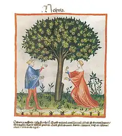 Tacuinum sanitatis Manuskript, 14. Jhdt[49]