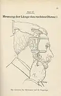 Messung der Länge des rechten Ohres – 1895