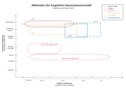 Läsionsstudien wurden aufgrund der vielfältigen Komplexität nicht in die Grafik eingeordnet