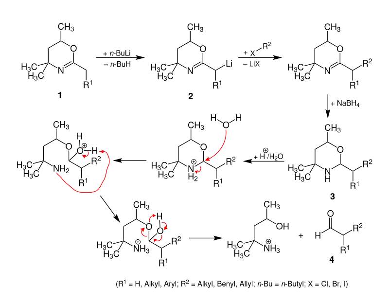 Vorgeschlagener Reaktionsmechanismus der Meyers-Aldehyd-Synthese
