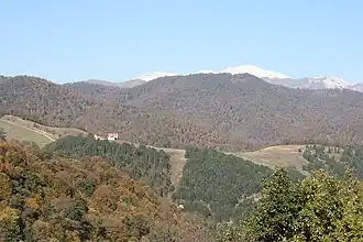 Kleiner Kaukasus bei Dilidschan (Armenien)