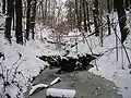 Ein kleiner Wasserfall im Dezember 2009
