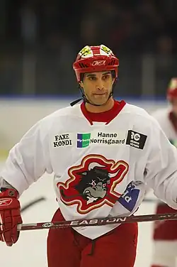 Rødovre Mighty Bulls