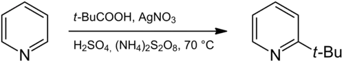 Synthese von 2-tert-Butylpyridin