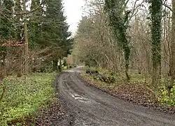 Weg durch das Geländes des einstigen Munitionsdepots