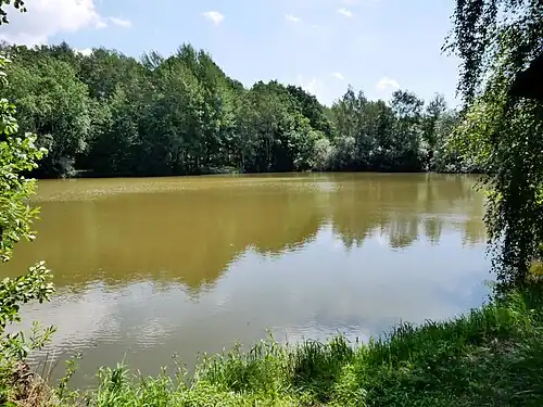 Mittlerer Bleicheteich