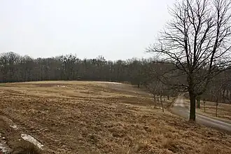 Blick über die Kleefrischewiese auf die Kuppe des Mittleren Eichbergs im Winter