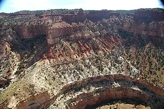 Rotschichten der Moenkopi-Formation über dem Kaibab Limestone am Sulphur Creek im Capitol Reef National Park