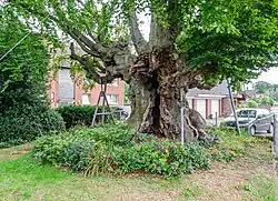 Abbruchstelle an der Nordseite, diverse Stahlträger und Gurte