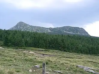 Die beiden Gipfel des Mont Mézenc, rechts der Südgipfel 1753 m, links der Nordgipfel 1749 m