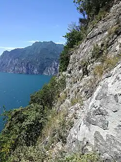 Lebensraum Kalkfelsen