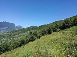 Waldrand und Trockenrasen