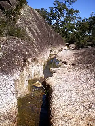 Morgans Gully