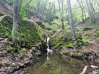 Einer der kleinen Wasserfälle des Morgenbachs