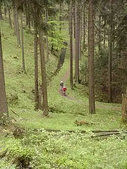 Wanderer am Morgenbrodstaler Graben bei Dammhaus