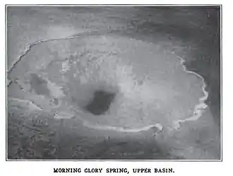 Jack Ellis Haynes, 1916