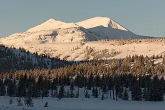 Trilobite Point (links)