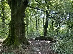 Kaiserbecken – Kaiserbuche