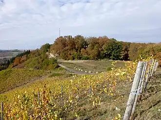 Moschellandsberg mit der Burgruine Landsberg von Osten gesehen