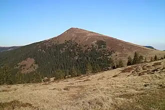 Moschkogel von Südwesten (Schäferkreuz)