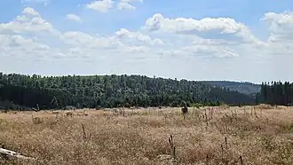 Moselkopf von Norden fotografiert.