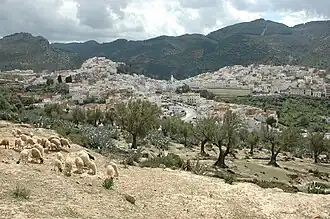 Moulay Idris und das Zerhoun-Massiv