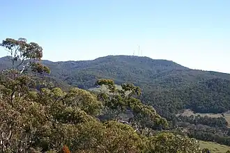 Blick vom Pinnacle auf den Mount Canobolas