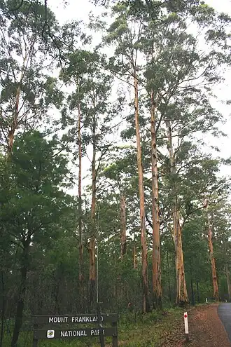 Mount-Frankland-Nationalpark