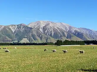 Blick von Osten von der Coleridge Road aus auf den Berg