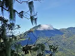 Der Leolaco in Ritabou