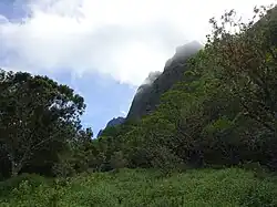 Der Nordhang auf etwa 1300&nbsp;m Höhe
