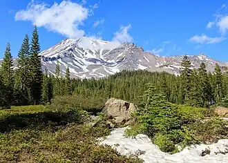 Mount Shasta, Blick vom Bunny Flat Trailhead (Mai 2021)