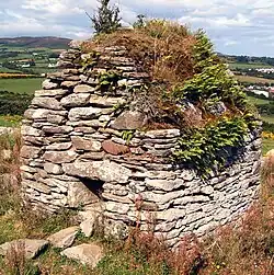 Skull House von Moville