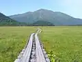 Ein Holzsteg führt leicht geschwungen durch eine weite Graslandschaft. Im Hintergrund sind bewaldete Berge. Der Himmel ist blau.