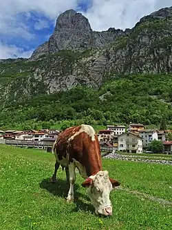 Timau mit der Gamspitz 1848&nbsp;m