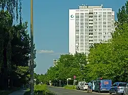 Müggelschlößchenweg, Blickrichtung Ost