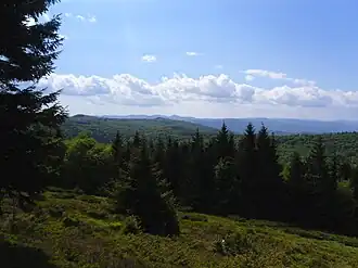 Blick auf den Ceangău