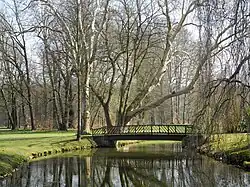 Farbfotografie einer Wiese mit vereinzelten Bäumen, die sich im Hintergrund zu einem Wald verdichten.