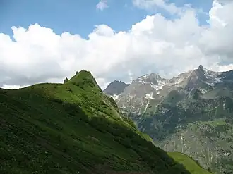 Muskopf und Schafalpenköpfe