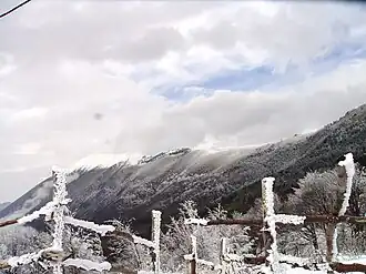 Südhang – Blick von Prevalla zum Gipfel