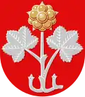 Wappen von Muurame