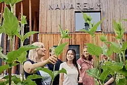 Eine Gruppe junger Menschen betrachtet hochgewachsene Pflanzen mit gelben Blüten. Im Hintergrund ist ein Holzgebäude, auf dem NAWAREUM steht.