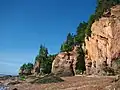Hopewell Rocks bei Niedrigwasser