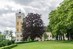 Blutbuche vor dem Schloss (Naturdenkmal 582, Oberösterreich)