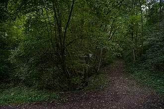 Tiefe Klingen beim Säuplatz ⊙48.7748583333339.36452