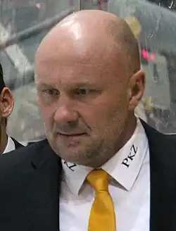 Peter Andersson (Eishockeyspieler, 1965)